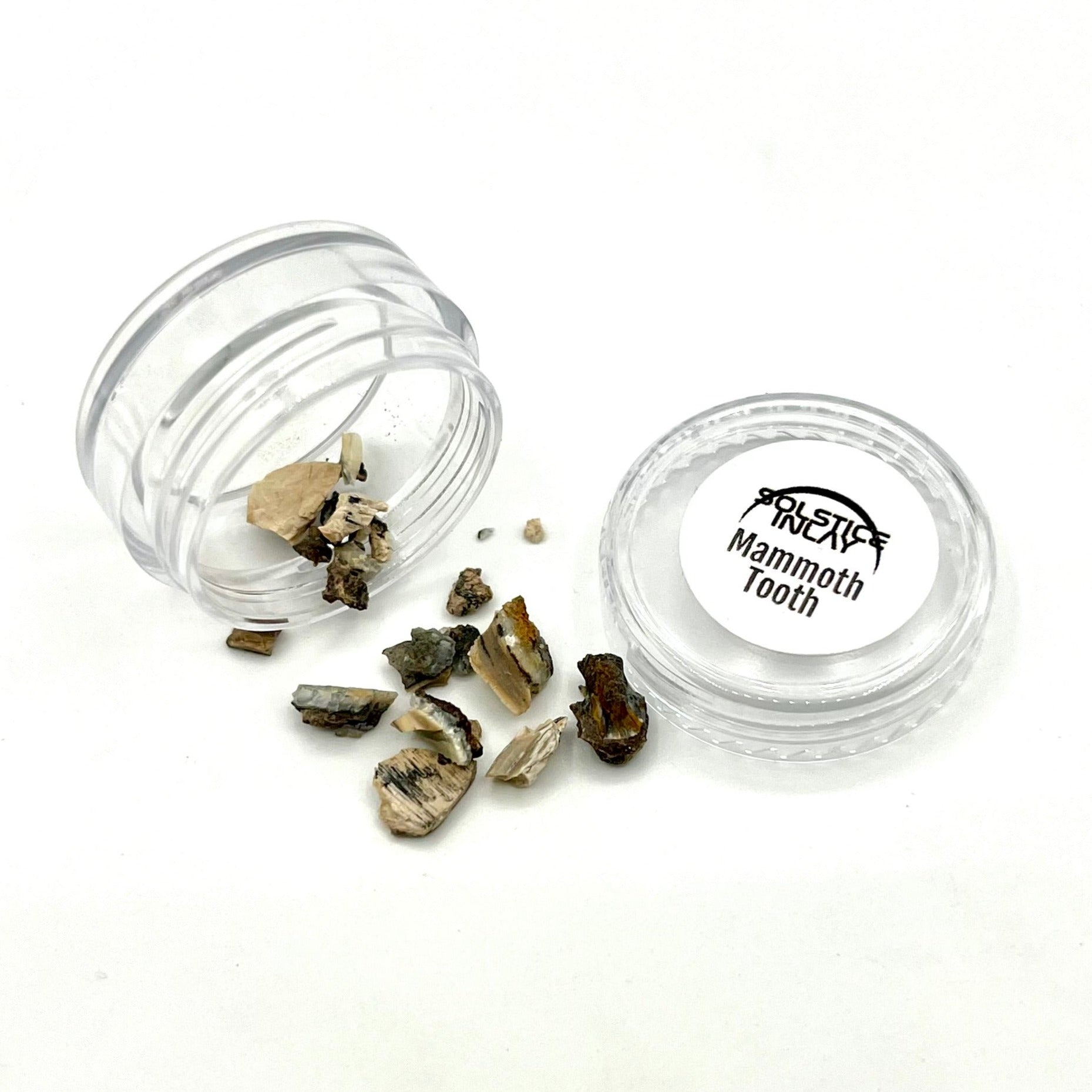 Mammoth Tooth Fragments - Patrick Adair Supplies