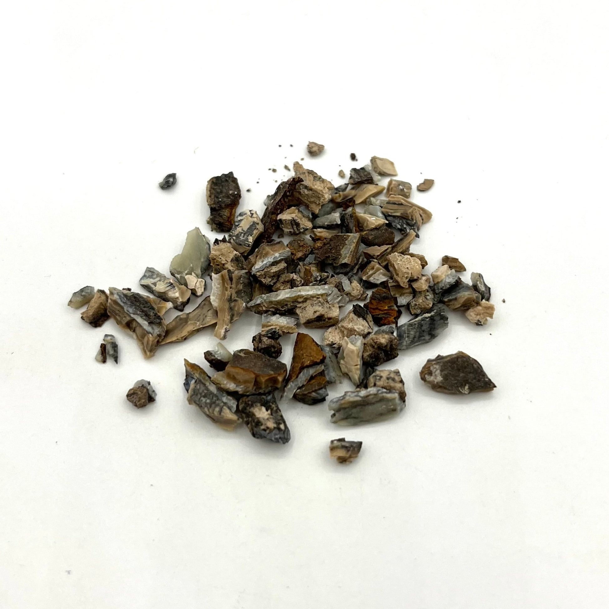 Mammoth Tooth Fragments - Patrick Adair Supplies