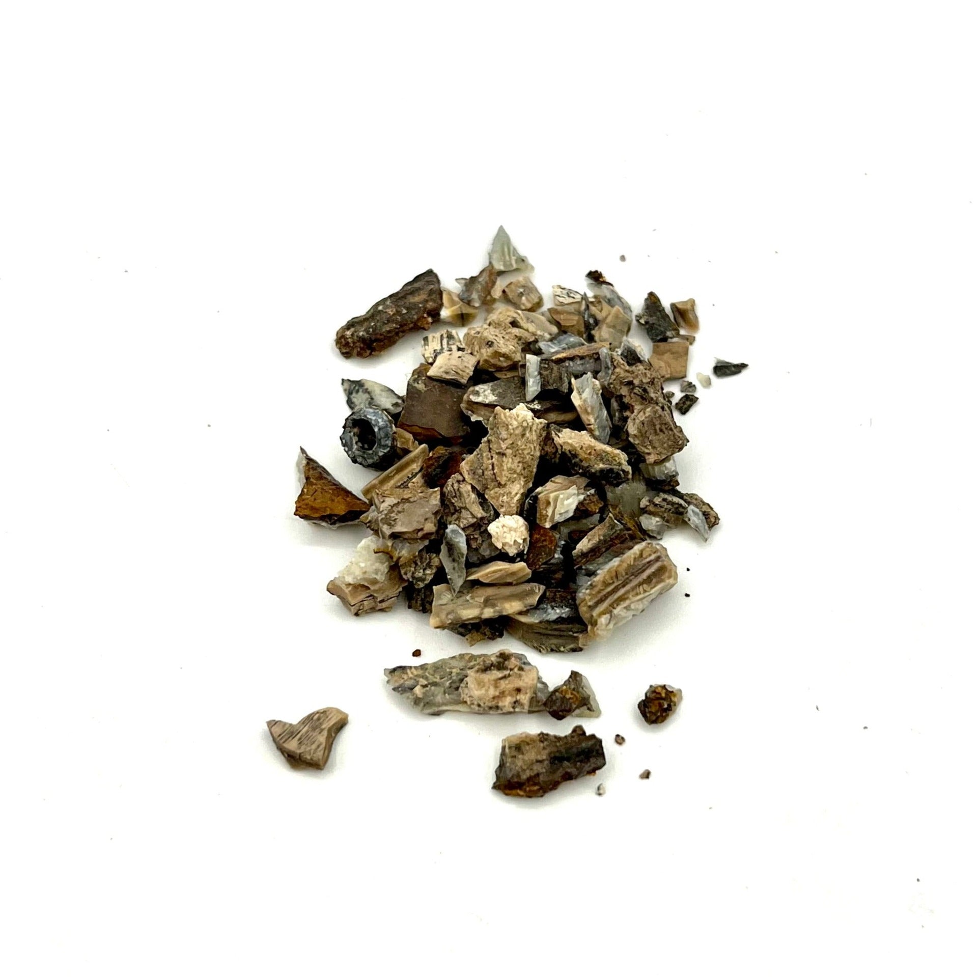 Mammoth Tooth Fragments - Patrick Adair Supplies