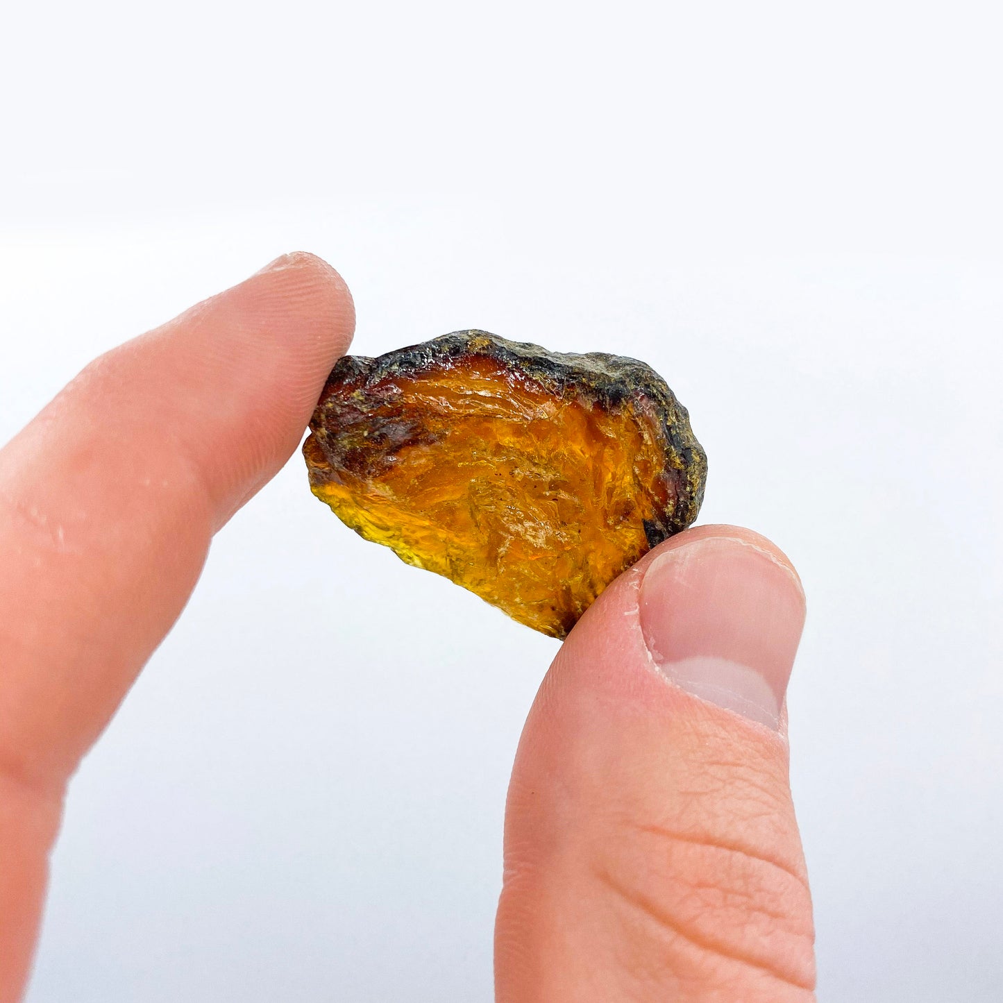 Amber Fragments - Patrick Adair Supplies