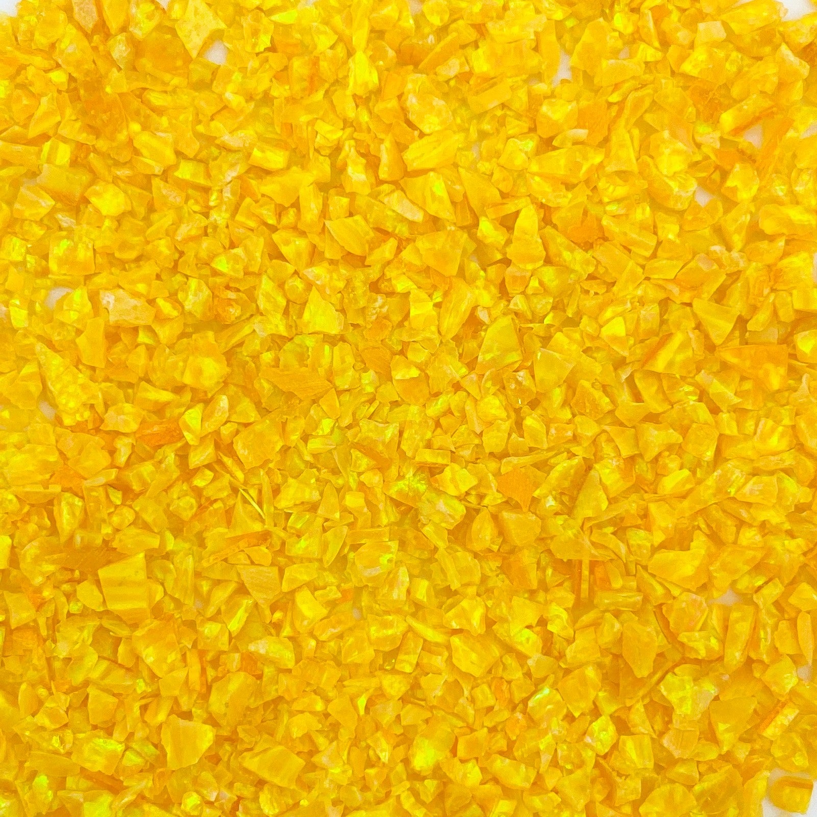 Opal - Marigold - Patrick Adair Supplies