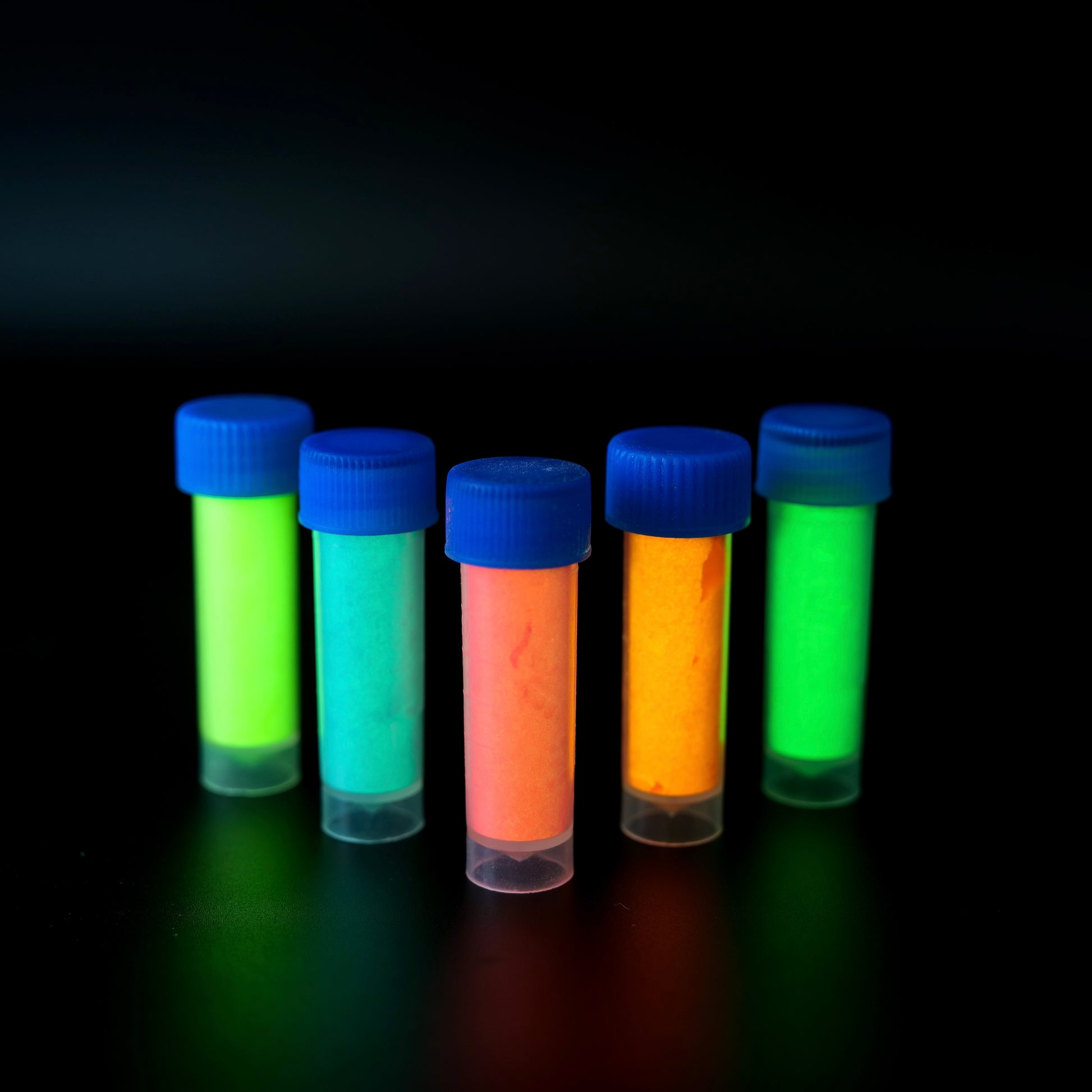 Neon Glow Powder 5 Pack - Patrick Adair Supplies